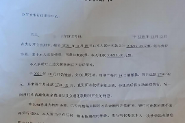 蒙阴如何避免债务纠纷？专业追讨公司教您应对之策
